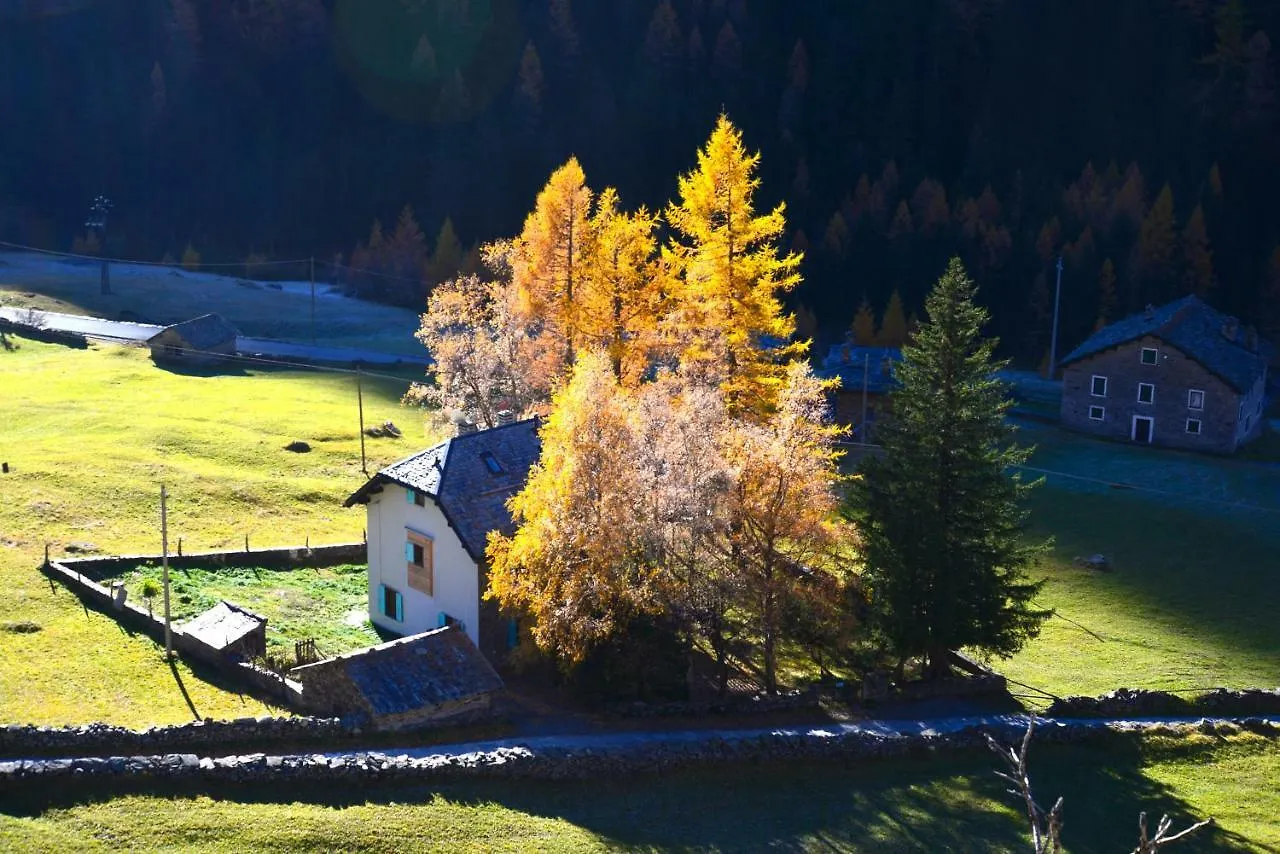 Il Cortese Chiareggio