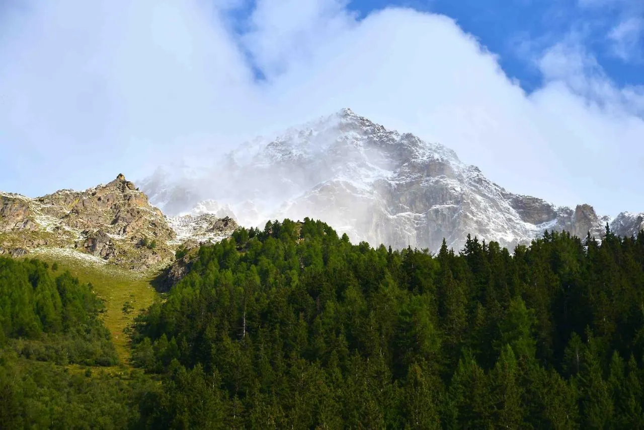 Il Cortese Chiareggio Bed & Breakfast